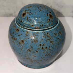 Lidded jar – shipwreck